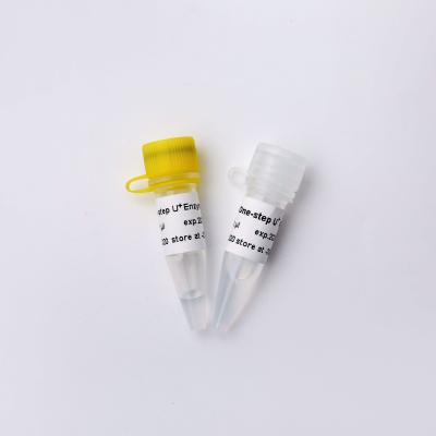 China 5× One Step Probe RT QPCR Master Mix Colourless Appearance for sale