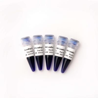 China 6× DNA Electrophoresis Buffer for sale