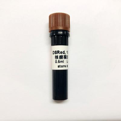 China Non Toxic DSRed Nucleic Acid Gel Stain 10000x 0.5ml for sale