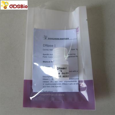 中国 White Lyophilized Powder DNase I Powder N9069 1g BR Grade 販売のため