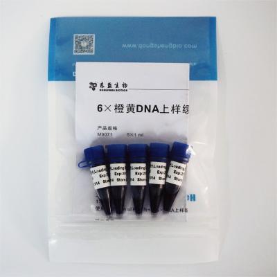 China 6× Gel Loading Dye Three Color DNA Electrophoresis Buffer EDTA 1mlx5 for sale