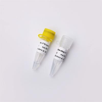 中国 分子生物的キットの原料UDG V3の1つのステップRNA/DNA RT QPCRマスターの組合せ 販売のため