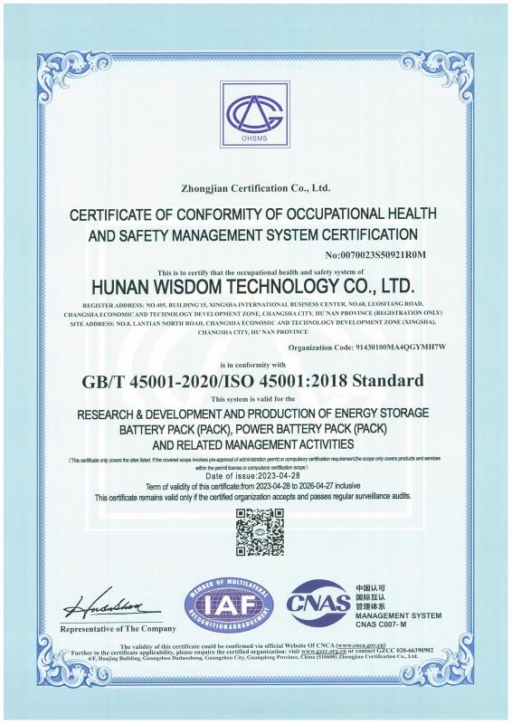 ISO45001 - Hunan Wisdom Technology Co., Ltd.