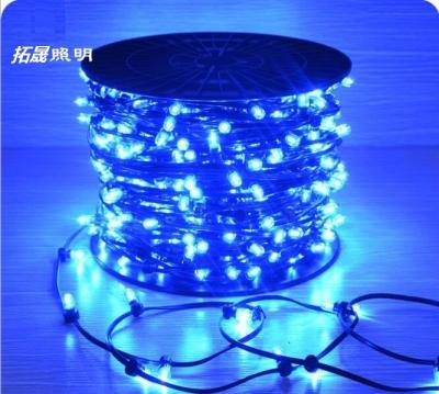 China Fabricante de árboles de Navidad IP65 LED Lámparas de cuerda 12V LED Clip Light para Australia en venta