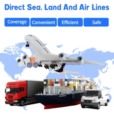 China DHL UPS Fedex International Express Freight Service From China All Types FIATA for sale