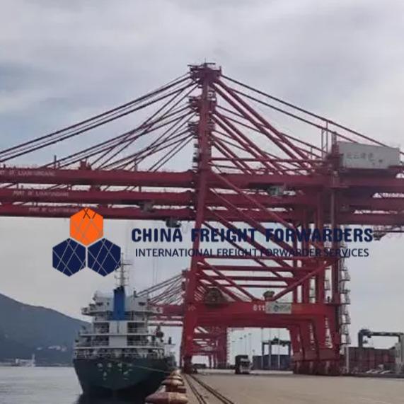 Quality Global Carrier Freight Forwarder Logistics Ocean Shipping From China To UK for sale