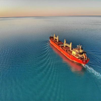 中国 Delivered DDP Sea Freight Forwarding DDP Shipping China To Canada 販売のため