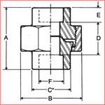 Forged Steel Fittings , A 182 / A105 , Class 1000 / Class 2000, B564 Flangolet, weldolet , Nipple, Coupling, olet