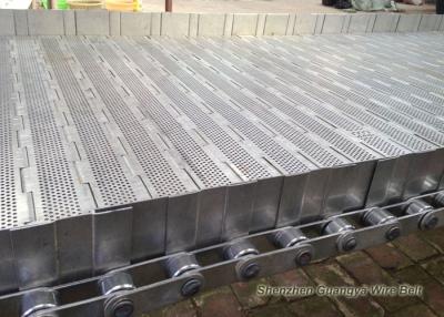 China Side Plates Chain Link Conveyor Belt Acid Resistant Custom Design High Performance for sale