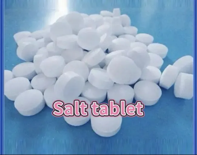 Corrosion Preventive Punches and Dies for Making Disnfection Tablets