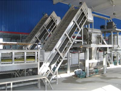 China 2TPH 5TPHCapacity Tomato Fruit Processing Line 50HZ SUS304 Materical for sale