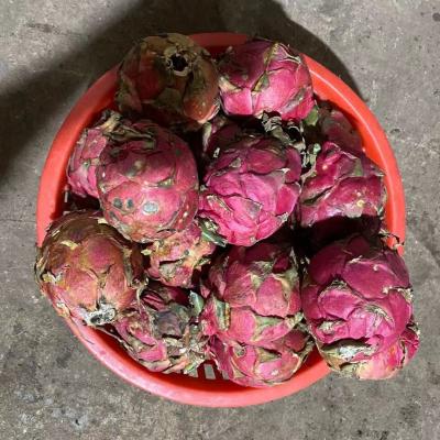 中国 Destoningのための2T/H 4kw Pitayaのマンゴのマンゴのパルプになる機械 販売のため