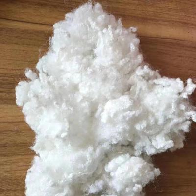 Chine Recycled Polyester Staple Fiber Strength Good UV Flame Resistance Chemical Abrasion Resistance à vendre
