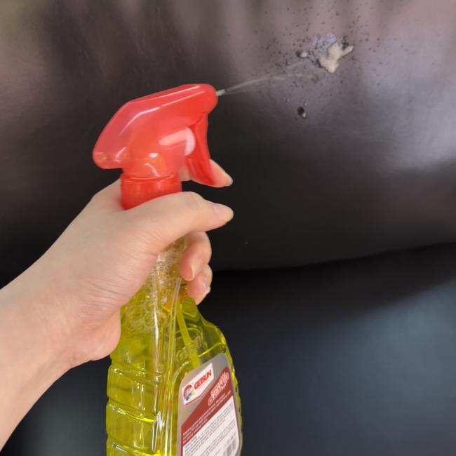 GETSUN upholstery cleaner