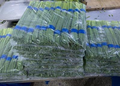 Китай стержень ростка болта чеснока 30cm китайский свежий продается