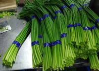 China New Crop Chinese Fresh Garlic Bolt for sale