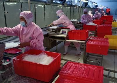 Китай шлихта вермишели фасоли Mung листа крахмала зеленой фасоли 100g холодная продается
