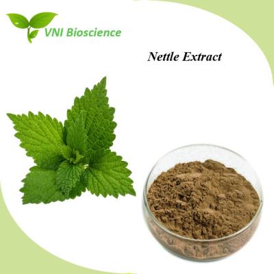 China Food Grade Nettle Leaf Extract Natural Green Plant Extracts For Relieve Pain for sale