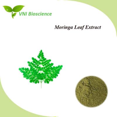 China OEM Vegetable Supplement Powder antitubercular Moringa Oleifera Leaf Extract for sale