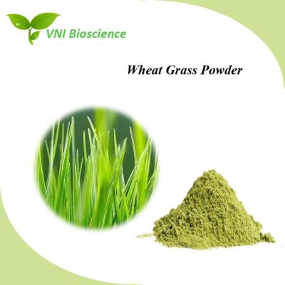 China Food Plant Herbal Extract Anti Aging Barley Grass Extract Powder for sale