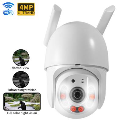 China 1.5 Inch Small Wireless IP Camera Dome Direct Plug Type For Outdoor for sale