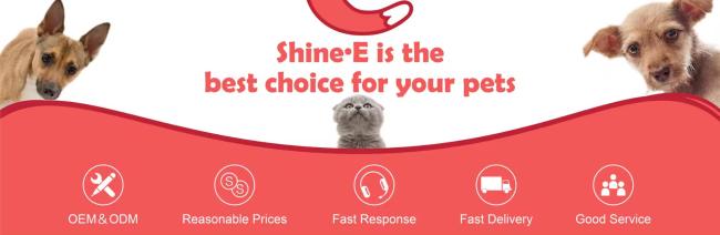 Smart Electric Rechargeable Plush Flapping Bird Toy Touch Activated Sparrow Chirp Tweet Pet Interactive Movement Toy Dogs Cats