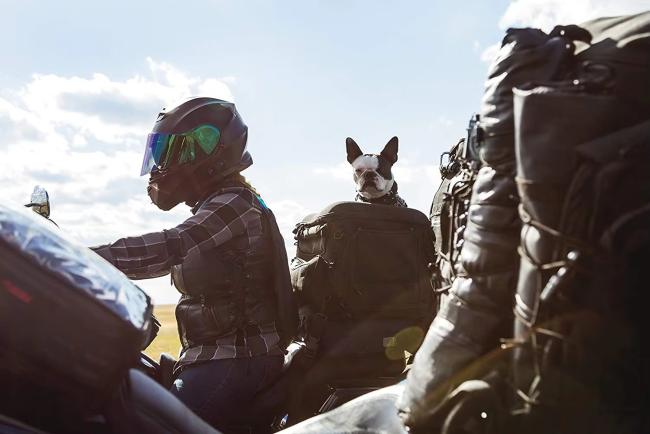 SAMPLE Portable Weather Resistant Motorcycle Dog Cat Carrier Crate for Luggage Rack or Passenger Seat