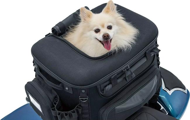 SAMPLE Portable Weather Resistant Motorcycle Dog Cat Carrier Crate for Luggage Rack or Passenger Seat