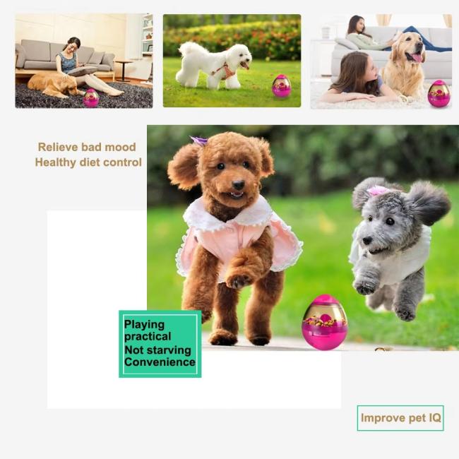 Hot Sale Non-toxic Interactive Dog Toy , Pet Food Dispenser Ball Toy for Pet Increases IQ