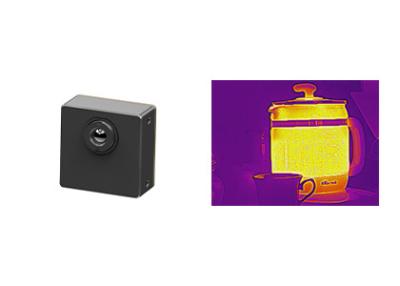 China COIN Micro Thermal Camera Module Uncooled 256x192 Resolution 12μm Pixel Size for sale