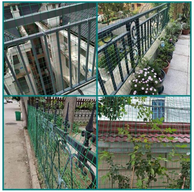 PVC coated welded wire mesh