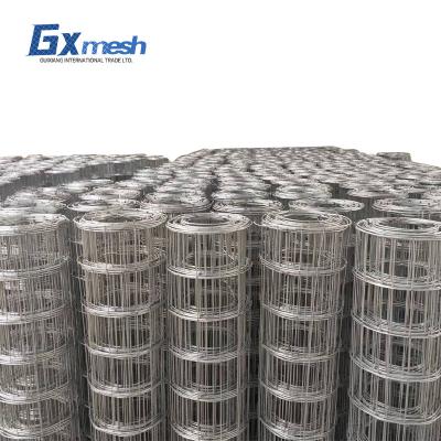 China Special Design Widely Used Galvanized Welded Wire Mesh Farm Fence Roll Welding Square Protection for sale