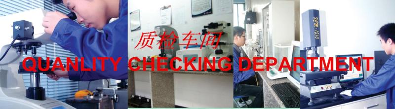  - PingYang DEM Auto Parts Factory