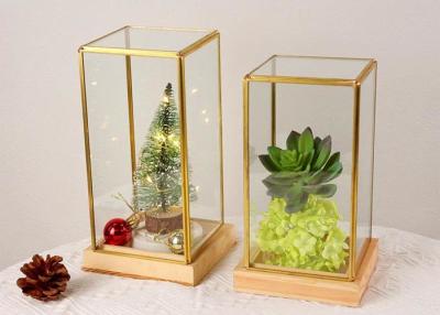 China Glass artifact succulent cover copper golden gife package box jewelry accessories window display box Yiwu wholesale for sale