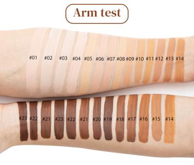 China Private Label Face Makeup Concealer Long Lasting 9 Colors OEM for sale