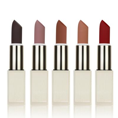 China 5 Colors Long Lasting Lipstick Lip Magnet Liquid Lipstick For Adults for sale
