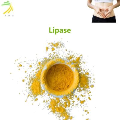 China 98% Pure 5000-20000FIP/G Digestive Enzyme Lipase Food Grade Lipase Enzyme for sale