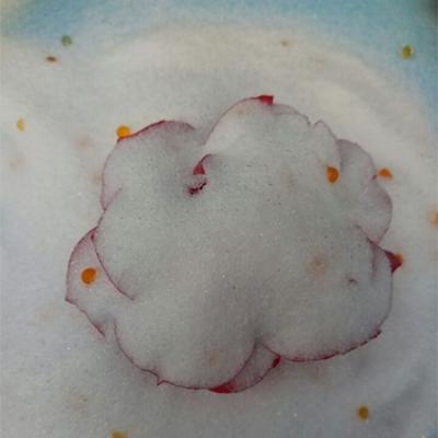 China Reusable Auxiliary Agents Coating Silica Gel For Drying Flowers for sale