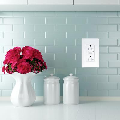 China LD -U001 4.2A Smart High Speed USB Charger Outlet 2 USB Ports With 2 Wall Plates for sale