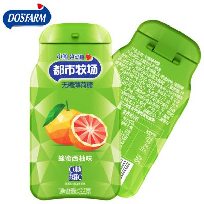 China Vitamin Iron Box Packing Honey Grapefruit Flavor Best Breath Sugar Free Mints Candy Supplier for sale