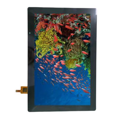 China Optical Bonding 10.1 inch TFT LCD Industrial G+G Touch Panel with Ultra-Slim 4.32mm Outline for sale