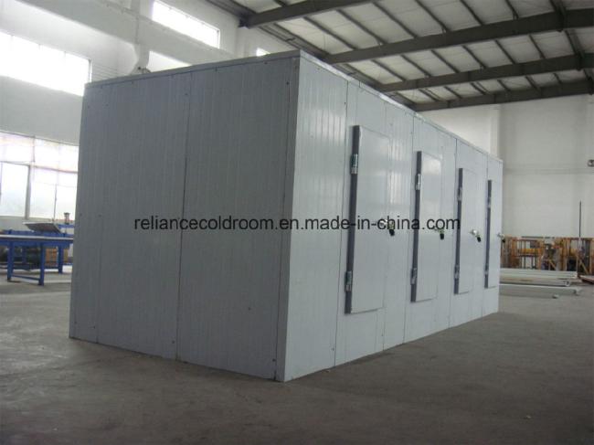 Cold Room for Storage of Fruit, Vegetable and Meat