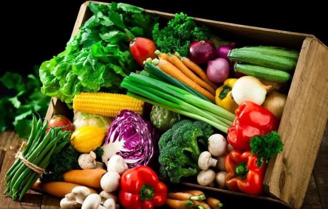 Walk-in Freezer Room for Storage of Quick Frozen and Packed Vegetable Products