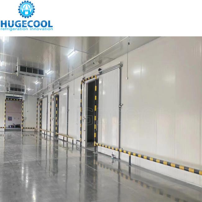 Logistic Warehouse Cold Room with Roll up Door