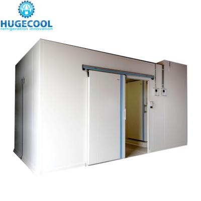 China Customized large freezer compartment with roll-in trolley for sale