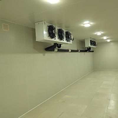 中国 cold storage room freezer chamber for seafood storage blast freeze 販売のため