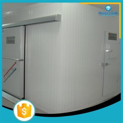 China Cold storage room for food blast freezed for sale