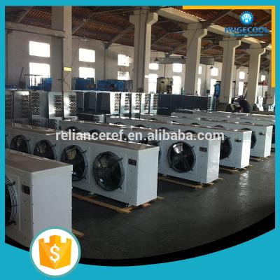 China Electric Power Hoisting Cold Room Air Cooler DD Series for sale