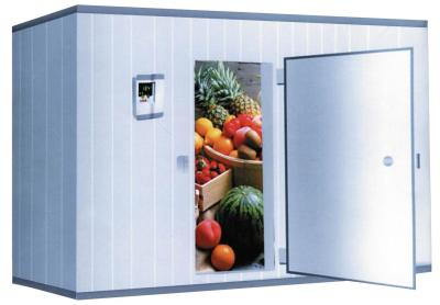China Sistema de refrigeração personalizado da sala fria de porta deslizante do tamanho para o alimento Wareh à venda