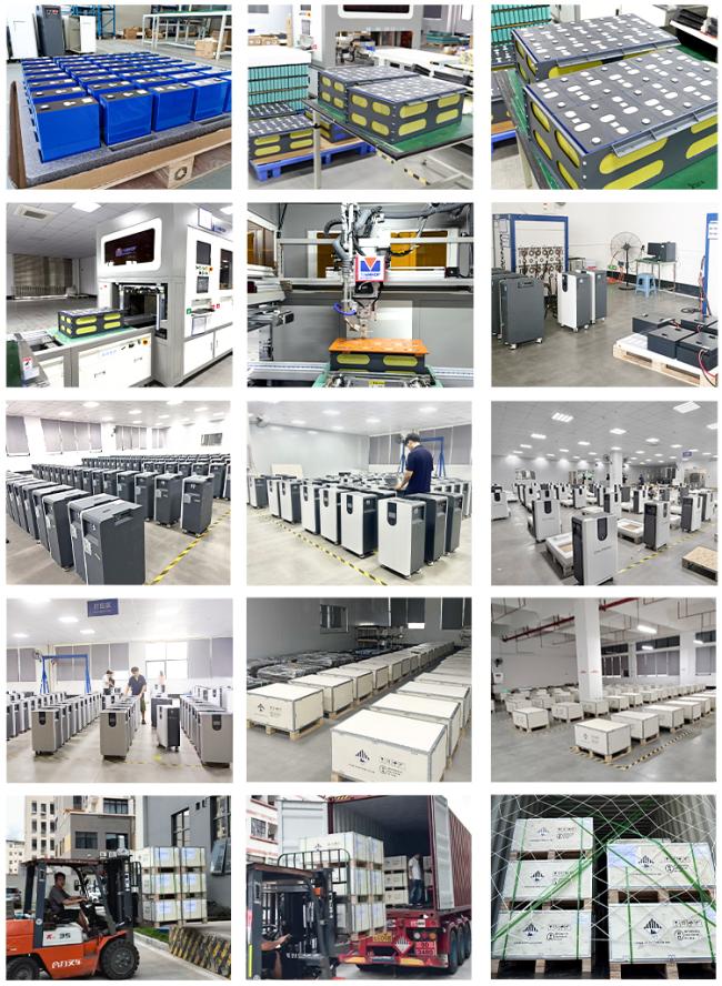 EXLIPORC manufacturing facility and production line